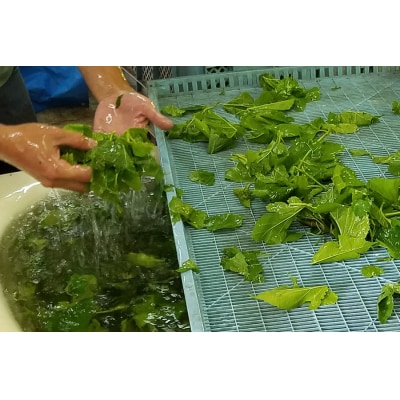 有機 桑の葉茶・有機 菊芋の葉茶 ノンカフェインセット