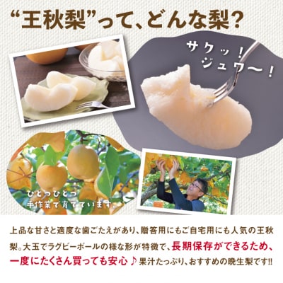 訳あり 王秋梨 5kg【やぶやフルーツガーデン】