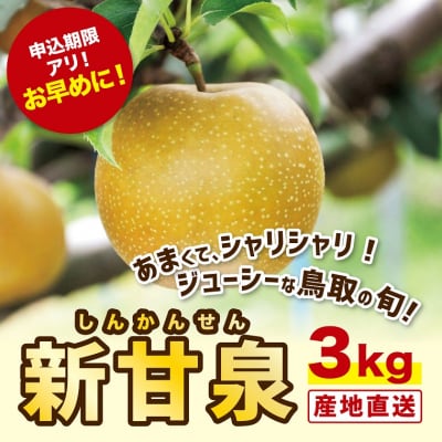 新甘泉 3キロ【安田農園】