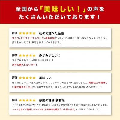 新甘泉 3キロ【安田農園】