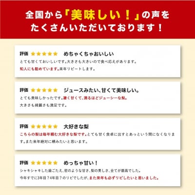 新甘泉 5キロ【安田農園】