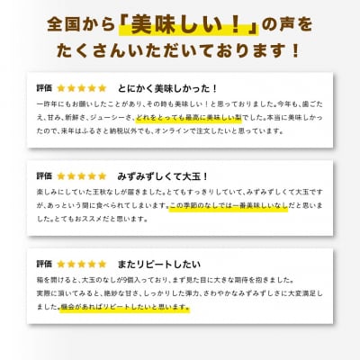 王秋梨 5キロ【安田農園】