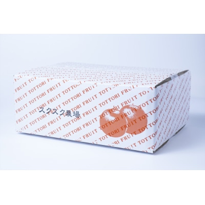 秋甘泉・夏そよかセット 秀品 2.5kg箱【スクスク農場】