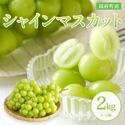 [鳥取県産シャインマスカット]万葉のしずく 2kg(さんチョク)