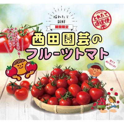 フルーツトマト 1.5kg