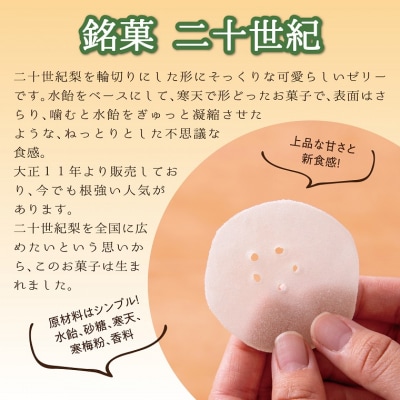 銘菓 二十世紀 24枚入