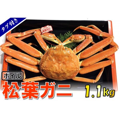 【魚倉】タグ付きボイル松葉ガニ (特特大1,100g)