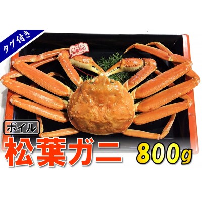 【魚倉】タグ付きボイル松葉ガニ (大800g)