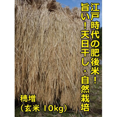 【11月順次発送】江戸時代のお米! 穂増(玄米) 10kg 令和8年産