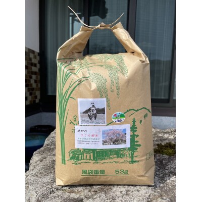 【2026年9月下旬～発送予定】鹿野のさくら姫米 5kg