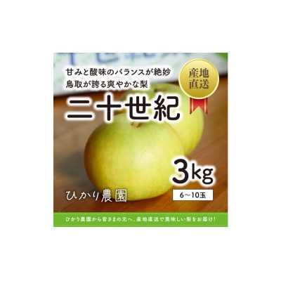 こだわり二十世紀梨 3キロ(ひかり農園)