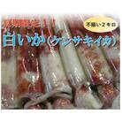 【魚倉】不揃い 白いか (ケンサキイカ) 2kgセット