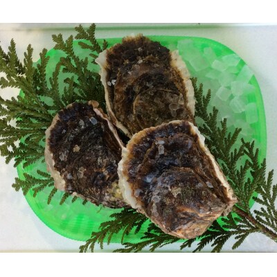 【魚倉】不揃い 天然岩ガキ 2kgセット