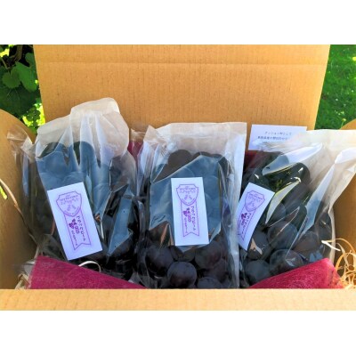 ぶどう ブラックビート 2kg (進物用)