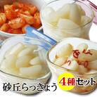 老舗漬物屋さんが作った 砂丘らっきょう漬け4種セット 鳥取県産