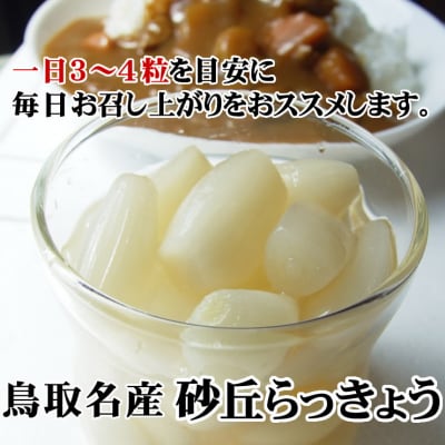 老舗漬物屋さんが作った 砂丘らっきょう漬け4種セット 鳥取県産