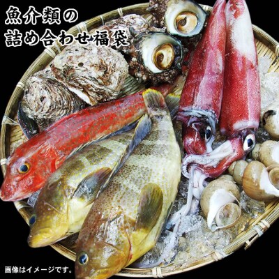 魚介類の詰め合わせ福袋 (魚介類2～4品程度入)