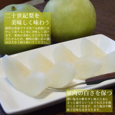 鳥取県産 二十世紀梨2キロ【麒麟獅子デザイン箱入り】(フォーシーズン)