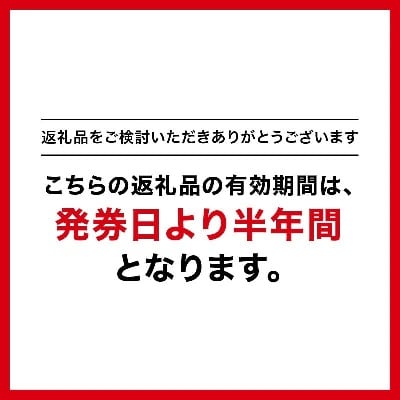 GINZA Global Style オーダースーツ商品券(15000円券)