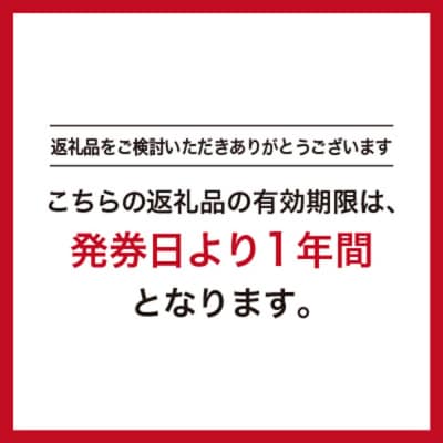 GINZA Global Style オーダースーツ商品券(100000円券)