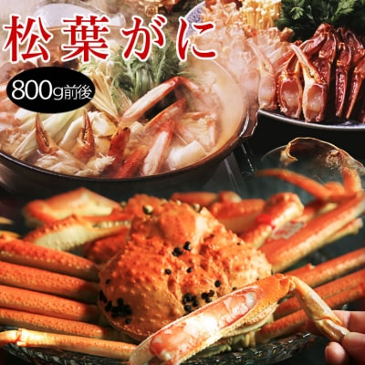松葉がに 訳あり (茹で) 大 800g前後×1枚 鳥取県産【フォーシーズン】