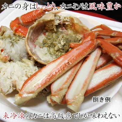 松葉がに 訳あり (茹で) 大 800g前後×1枚 鳥取県産【フォーシーズン】