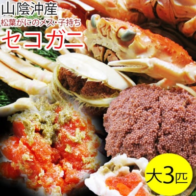 セコガニ 訳あり (茹で) 大 3枚セット 鳥取県産【フォーシーズン】
