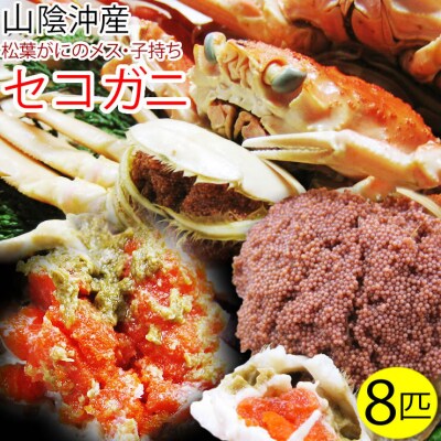 セコガニ 訳あり(茹で)8枚セット 鳥取県産(フォーシーズン)
