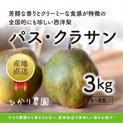 完熟こだわりパス・クラサン 3キロ(ひかり農園)