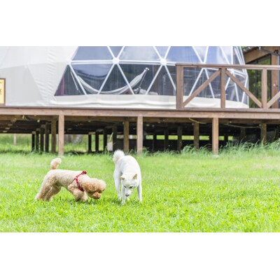 鳥取砂丘でグランピング体験 グランドーム砂優 ご宿泊割引券 2万円分