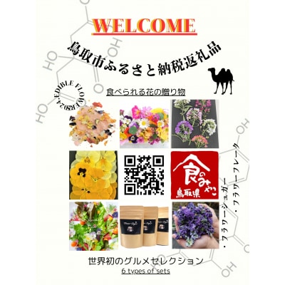 食べられる花の贈り物 エディブルフラワー(食用花) 6種セット