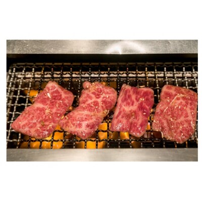 鳥取和牛クラシタ焼肉用 500g