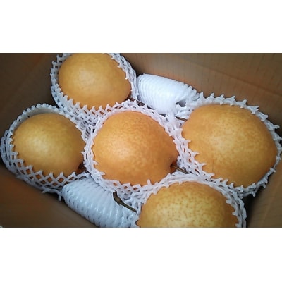 王秋梨 3kg【まえた農園】