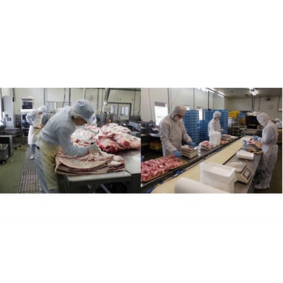 交美牛 肩ロース焼肉用 600g(300g×2P)