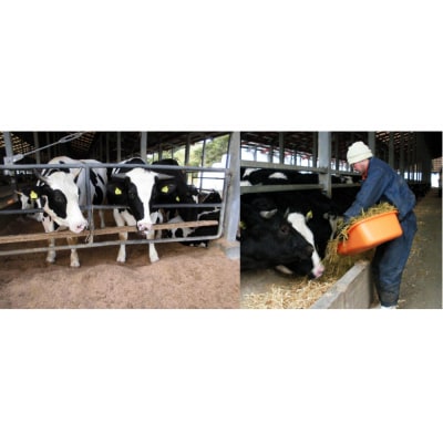 鳥取牛バラスライス 2kg(400g×5P) 