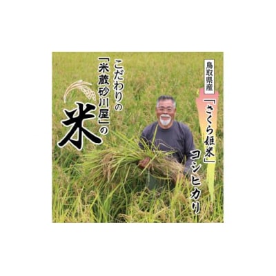 【2026年9月下旬～発送予定】鹿野のさくら姫米 3kg