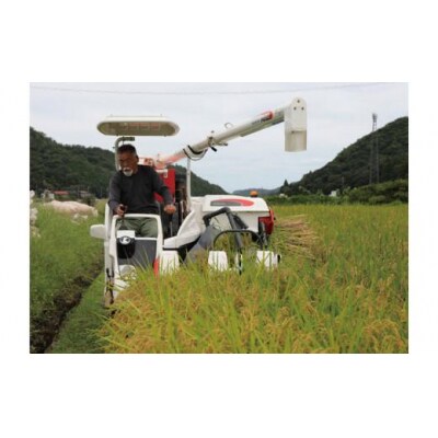 【2026年9月下旬～発送予定】鹿野のさくら姫米 3kg