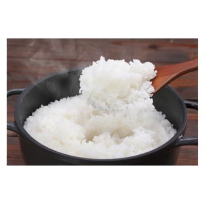 【定期便】2026年 新米定期便 鹿野のさくら姫米 3kg×全3回【10月・11月・12月】