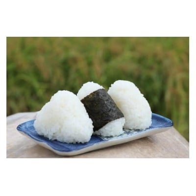 【定期便】2026年 さくら定期便 鹿野のさくら姫米 3kg×全3回【4月・5月・6月】