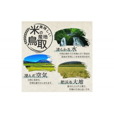 【令和8年度産】因幡の白兎米 コシヒカリ 精米済 20kg ( 5kg×4袋 )