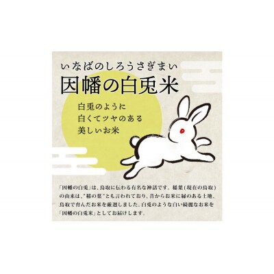 【令和8年度産】因幡の白兎米 コシヒカリ 精米済 20kg ( 5kg×4袋 )