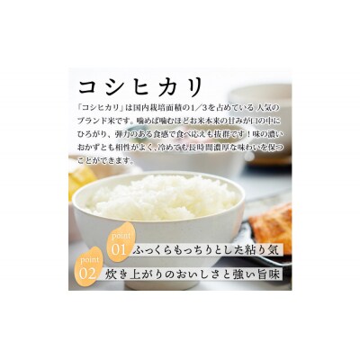 【令和8年度産】因幡の白兎米 コシヒカリ 精米済 20kg ( 5kg×4袋 )