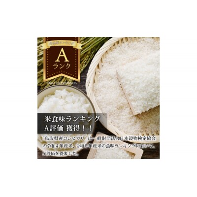 【令和8年度産】因幡の白兎米 コシヒカリ 精米済 20kg ( 5kg×4袋 )