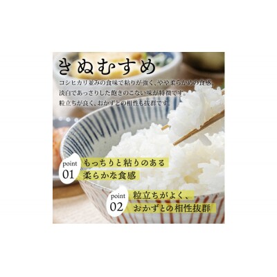 【令和8年度産】因幡の白兎米 きぬむすめ 精米済 20kg ( 5kg×4袋 )