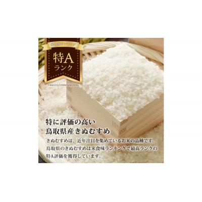 【令和8年度産】因幡の白兎米 きぬむすめ 精米済 20kg ( 5kg×4袋 )