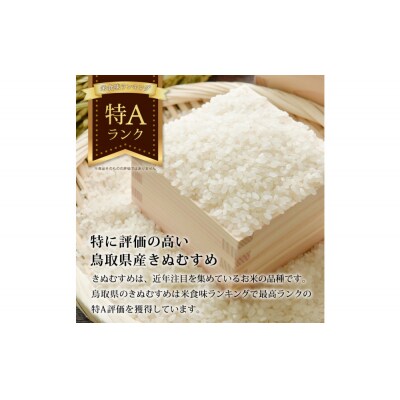 【令和8年度産】因幡の白兎米 きぬむすめ 精米済 20kg ( 5kg×4袋 )