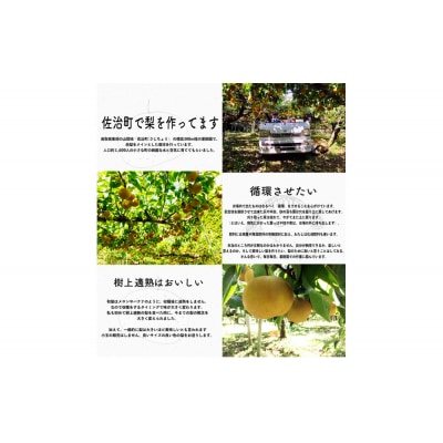 豊水梨 3kg箱詰め(鳥取県佐治町産) [あくつの梨]