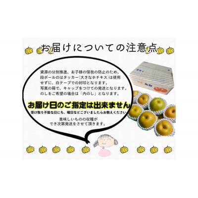 新興梨 3kg箱詰め(鳥取県佐治町産) [あくつの梨]
