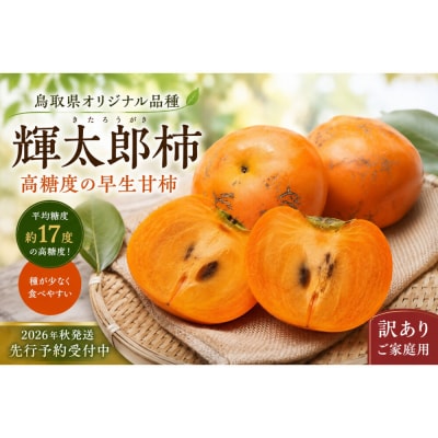 【先行予約】【2026年秋発送】鳥取市産 輝太郎柿 約3kg【訳あり・ご家庭用】