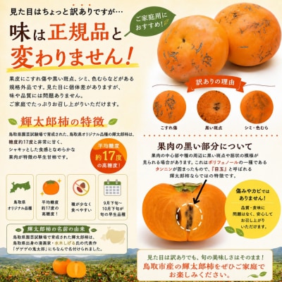 【先行予約】【2026年秋発送】鳥取市産 輝太郎柿 約3kg【訳あり・ご家庭用】